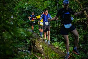 BIB: 9098
                            <button type="button" onclick="openModal(18922852)" class="btn btn-primary btn-sm float-right btn-popup" data-toggle="modal" data-target=".modal-high-quality">
                        <i class="fas fa-shopping-cart"></i> Add to Cart
                    </button>
                                            <button type="button" onclick="isThisMe(18922852, true)" class="btn btn-success btn-sm float-right btn-popup btn-isme hidden" data-toggle="tooltip" data-placement="bottom" title="นี่คือรูปของคุณใช่ไหม คลิกที่นี่เพื่อเอาเข้าอัลบั้ม">
                        <i class="fas fa-plus"></i> Add to album
                    </button>
                    <button type="button" onclick="isThisMe(18922852, false)" class="btn btn-warning btn-sm float-right btn-popup btn-isnotme hidden">
                        <i class="fas fa-ban"></i> Remove from album
                    </button>